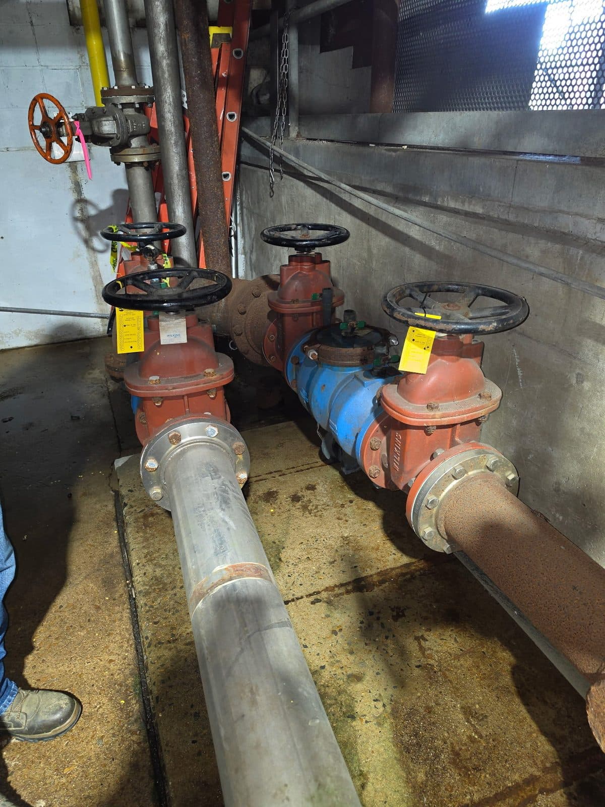 Industrial backflow assembly with a blue center unit and large red gate valves